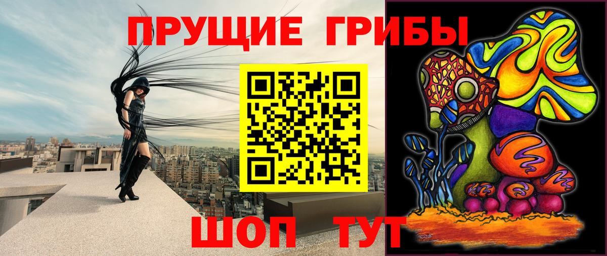 Псилоцибиновые грибы прущие грибы  Вход с VPN  Красный Сулин  Галлюциногенные грибы Psilocybine cubensis 